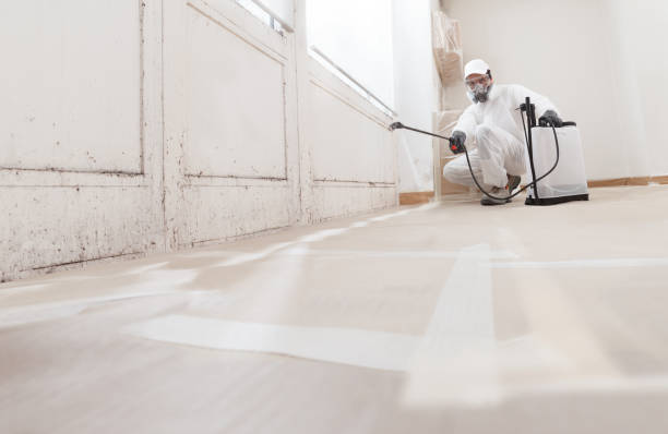 24/7 Emergency Mold Inspection experts in Newton Center, MA