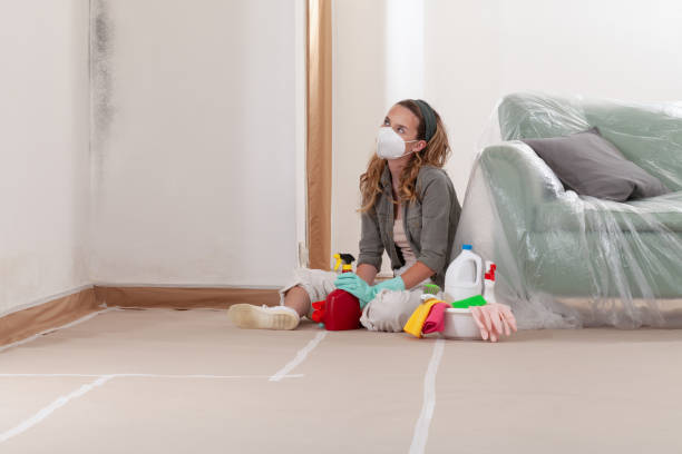 Trusted Mold Inspection service in Newton Center, MA - WQB Mold Removal